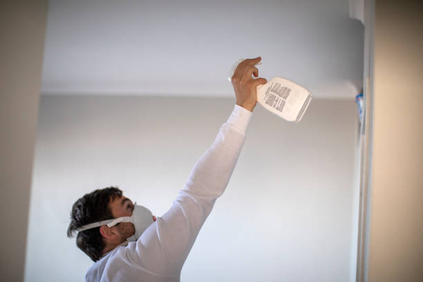 Best Professional Mold Removal  in Cassville, WV