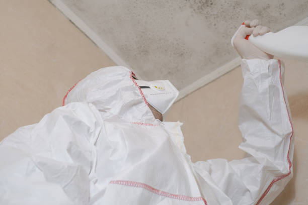 Best Emergency Mold Removal  in Cassville, WV